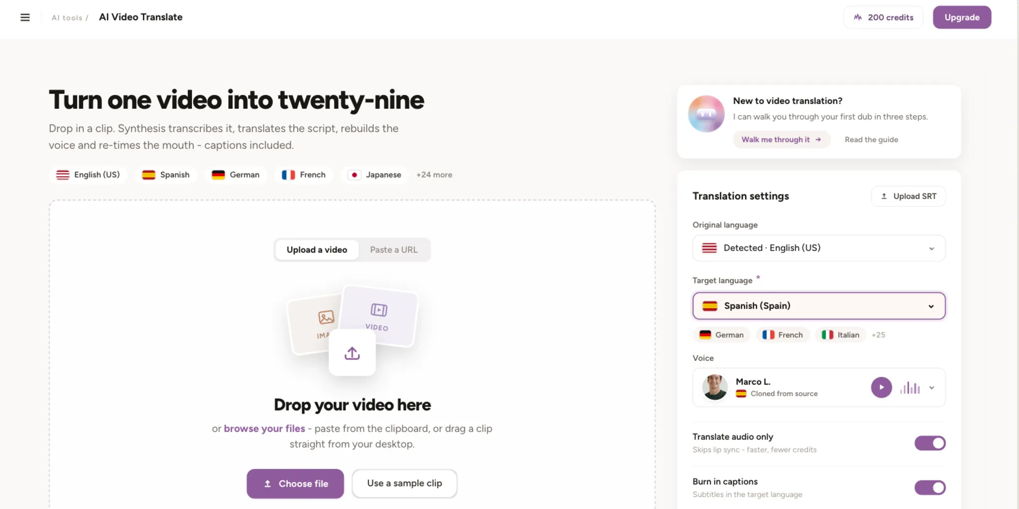 The Synthesys video translation tool